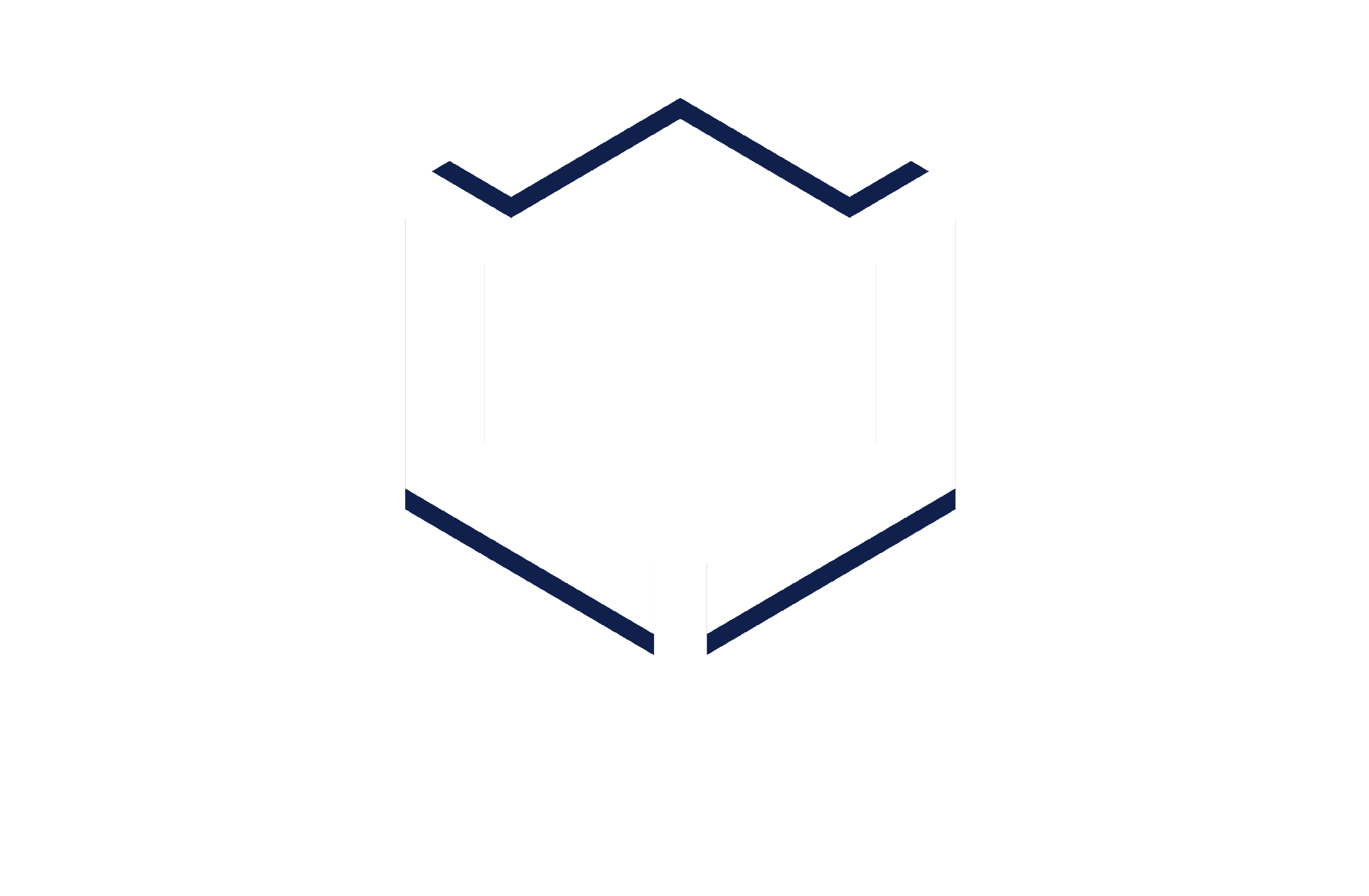Logo White